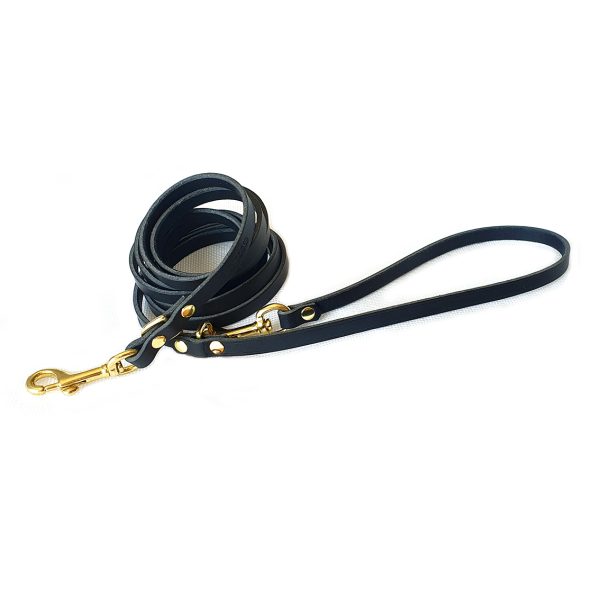 Night adjustable leash