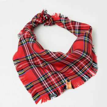 Royal Tartan bandana