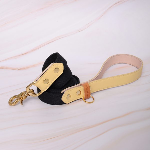 Desert Sand leash