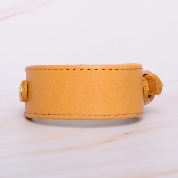 Dijon greyhound collar