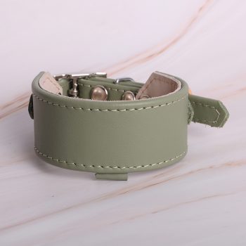 Sage greyhound collar