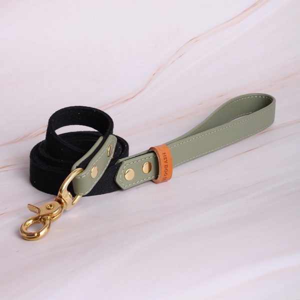 Sage leash