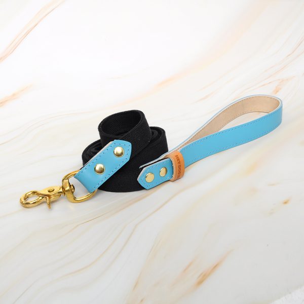 Azure leash