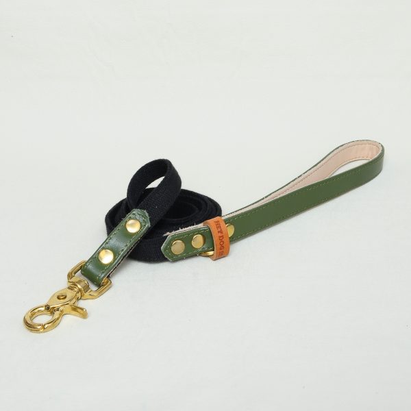 Olive Green leash (RTG)