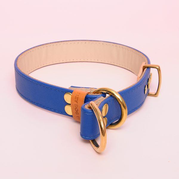 Nazar (slip collar with lock)