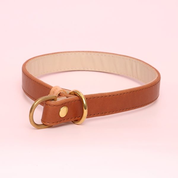 Light Brown (full slip collar)