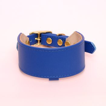 Nazar greyhound collar