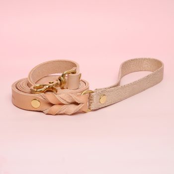 Golden Flowers leash