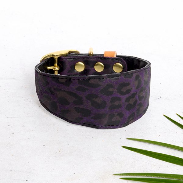 Purple Leopard wide collar