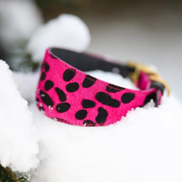 HOT PINK PANTHER wide collar for a greyhound