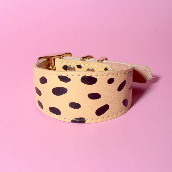 Desert Sand Dalmatian classic greyhound collar