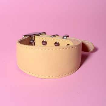 Desert Sand classic greyhound collar