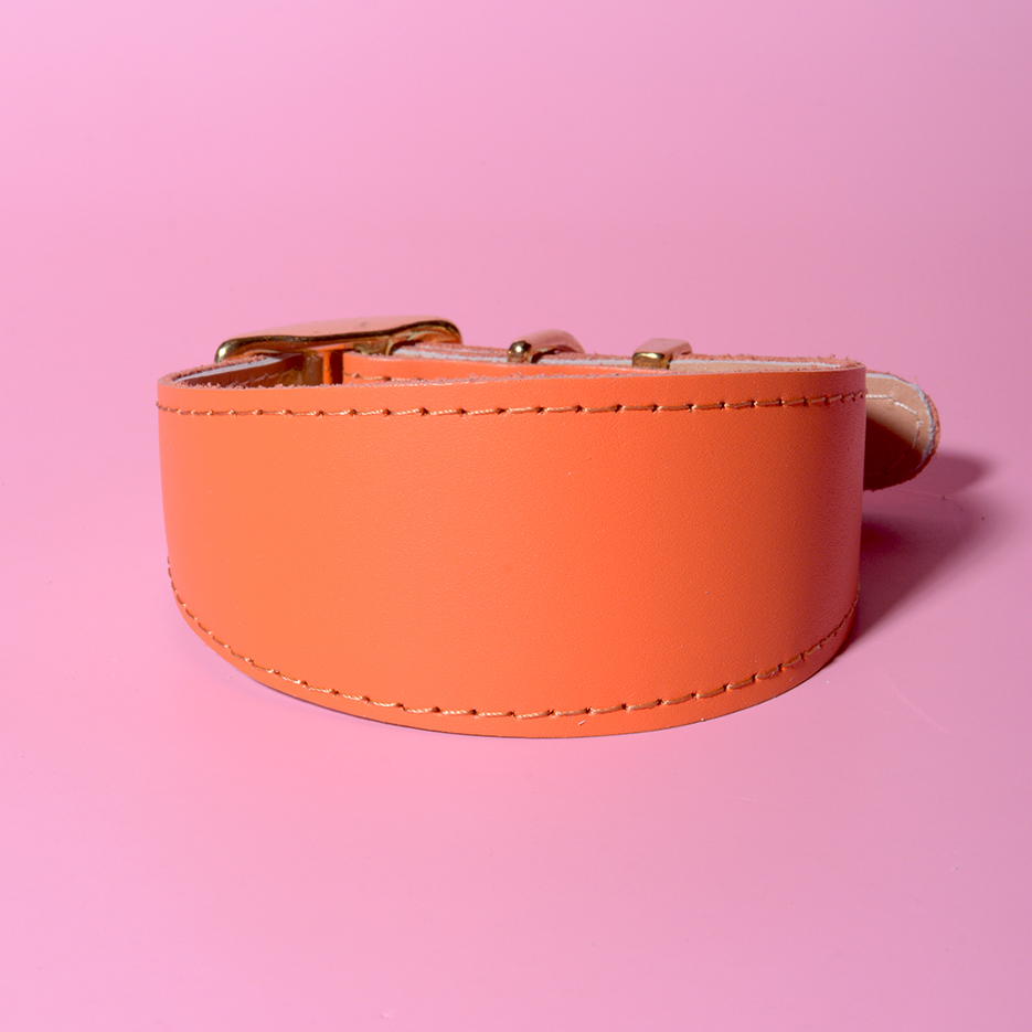 Energetic Orange classic greyhound collar