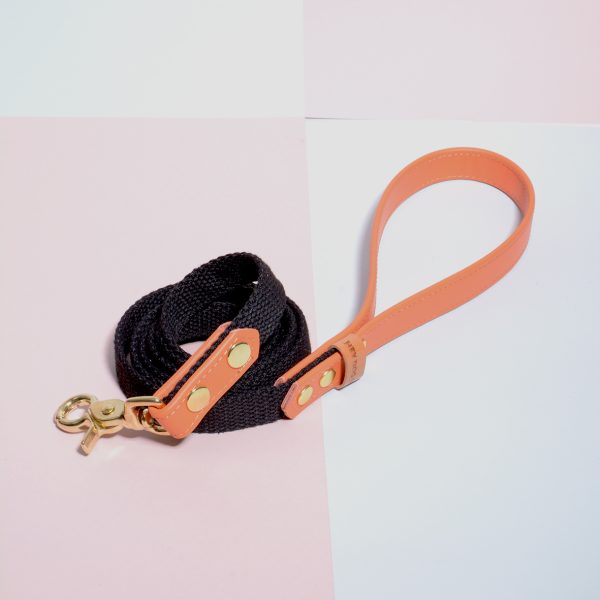 Energetic Orange leash