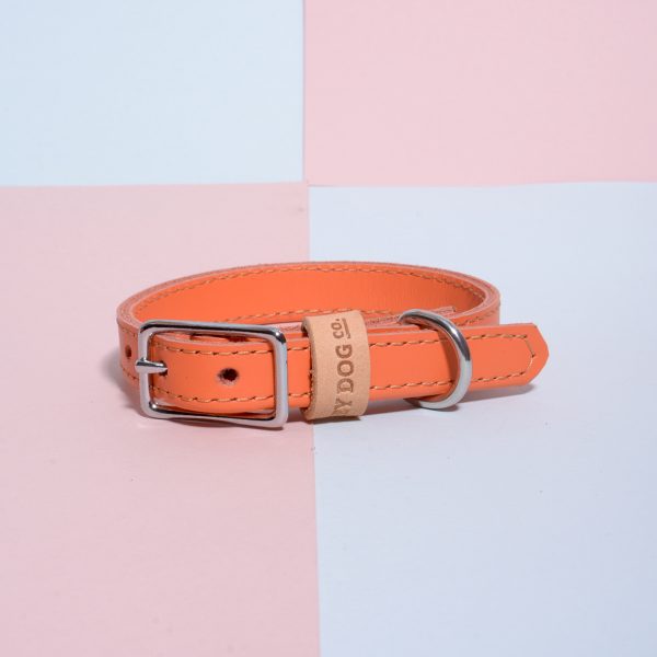 Energetic Orange - dog collar