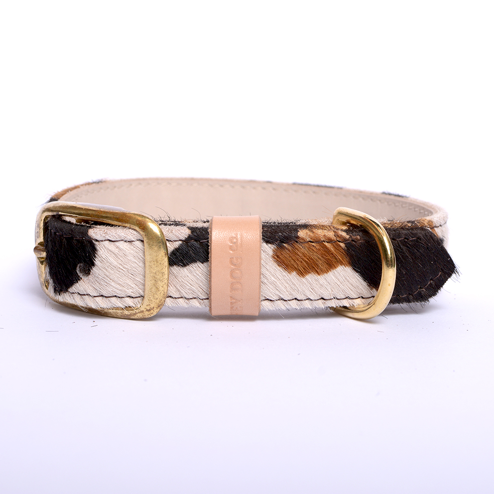 cow print classic collar 2