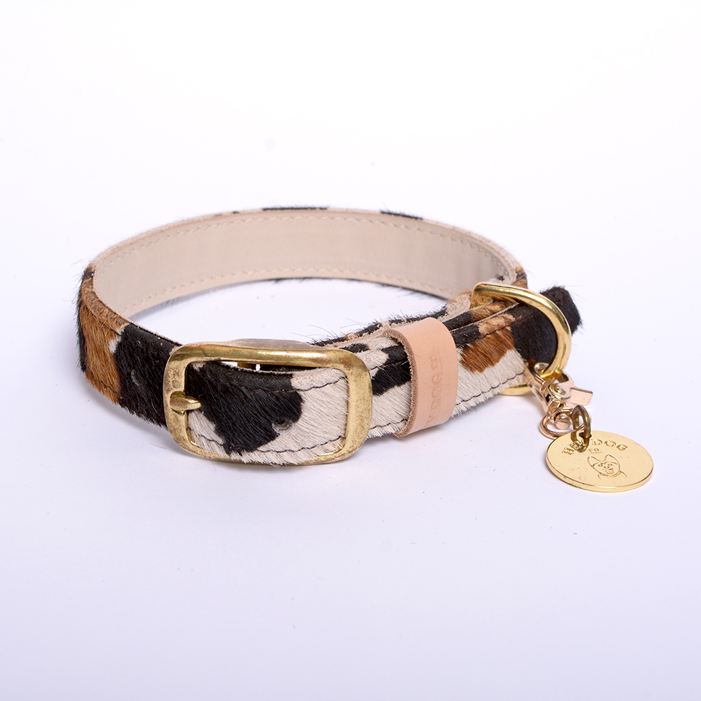 cow print classic collar 4