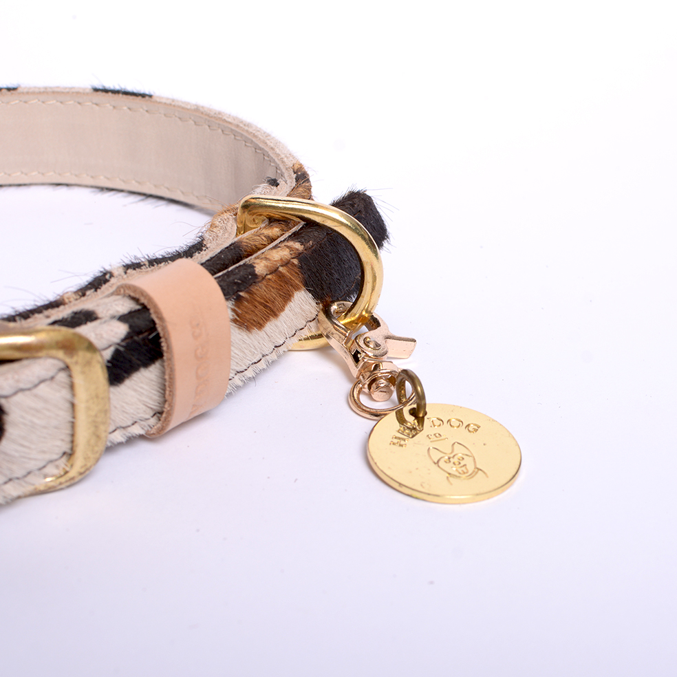 cow print classic collar 5