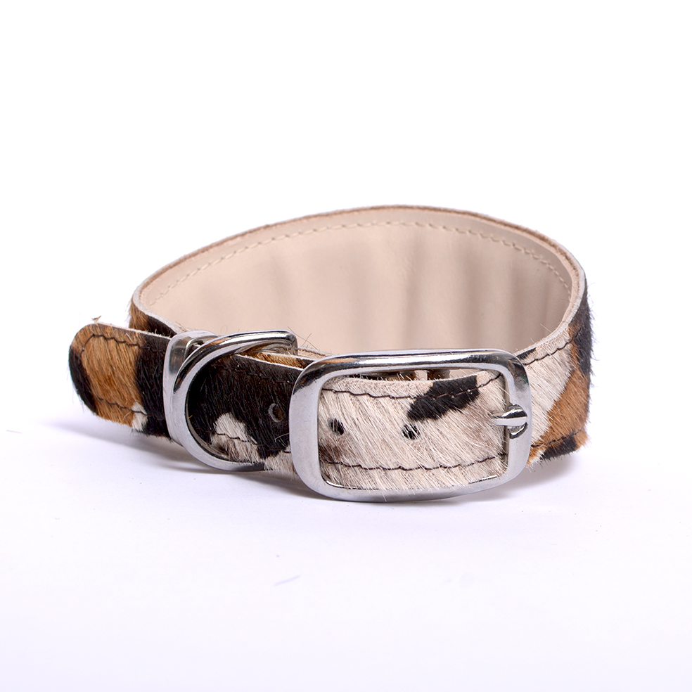 cow print ellipse collar 6