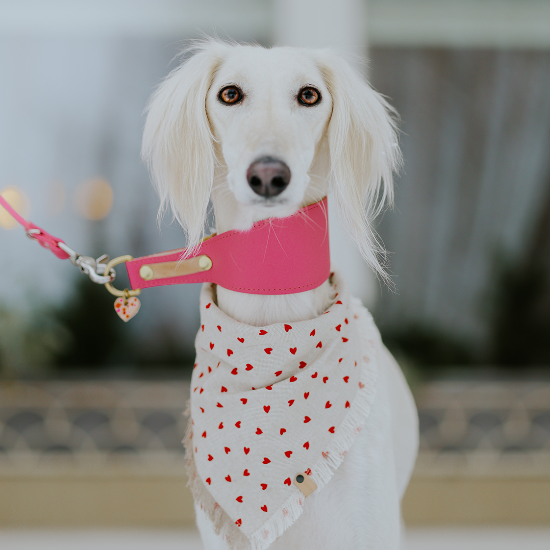 1000101277_pinky dinky half clamp