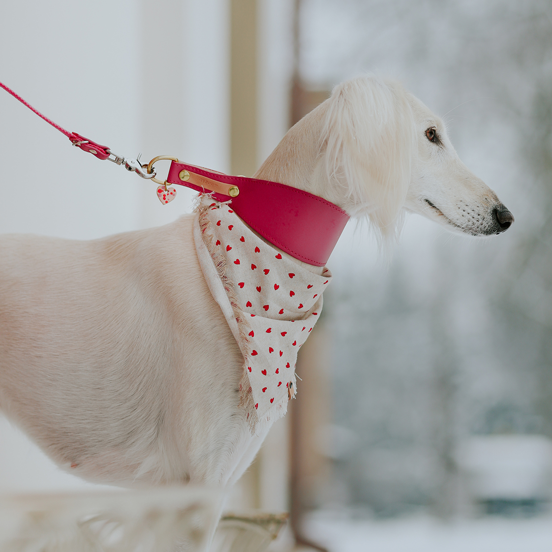 1000101283_pinky dinky halp clamp