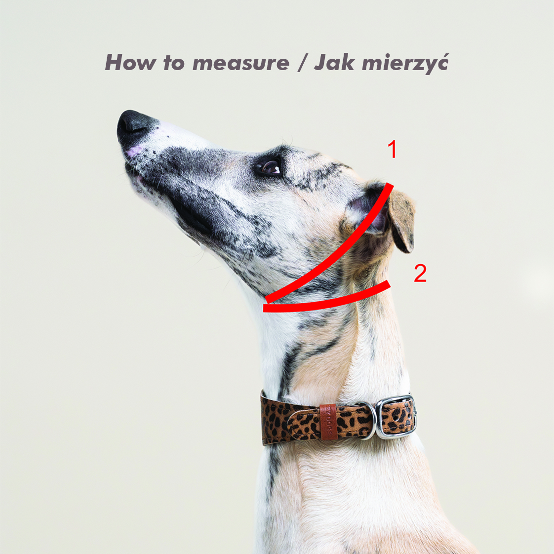 half choke collar jak mierzyć